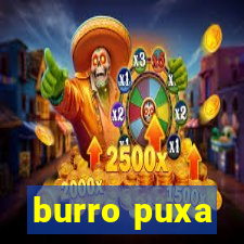 burro puxa